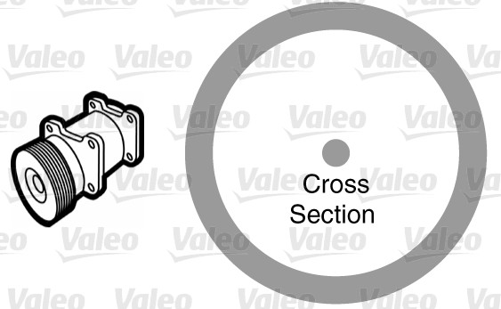 VALEO 509176 for BMW
