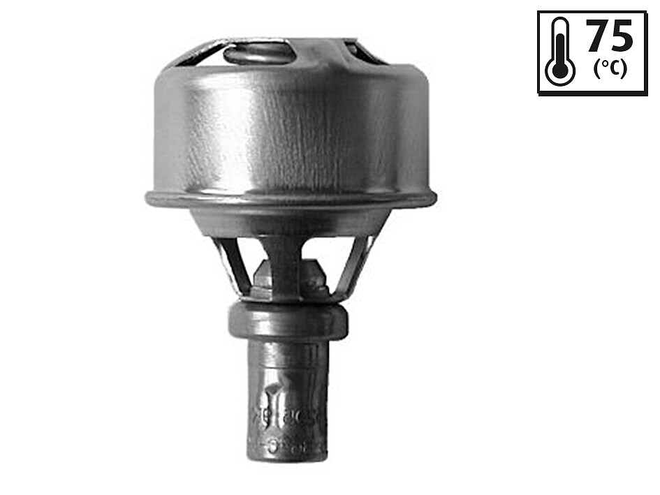 VALEO Termostat, kølemiddel 819921 for FORD RENAULT
