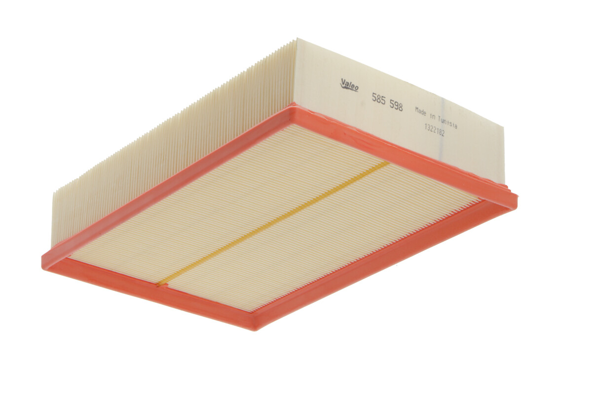 VALEO Luftfilter 585598 Filterindsats length_mm_203|Længde [mm]|293 width_mm_206|Bredde [mm]|202 height_mm_209|Højde [mm]|80 weight_kg_212|Vægt [kg]|0