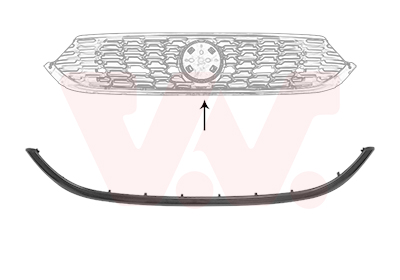 VAN WEZEL Pynte-/beskyttelsesliste, kølergitter 1717517 for FIAT / LANCIA