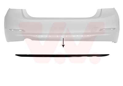 VAN WEZEL Pynte-/beskyttelsesliste, kofanger 0670550 nede for BMW