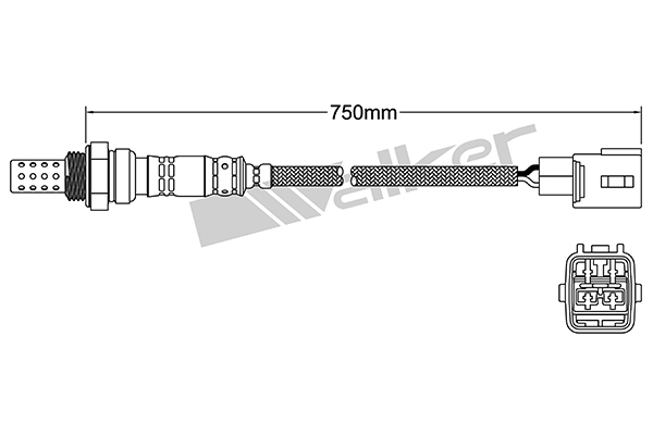 VEGAZ Lambdasonde dls128 for TOYOTA