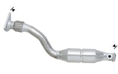 VEGAZ Katalysator rk989 for RENAULT