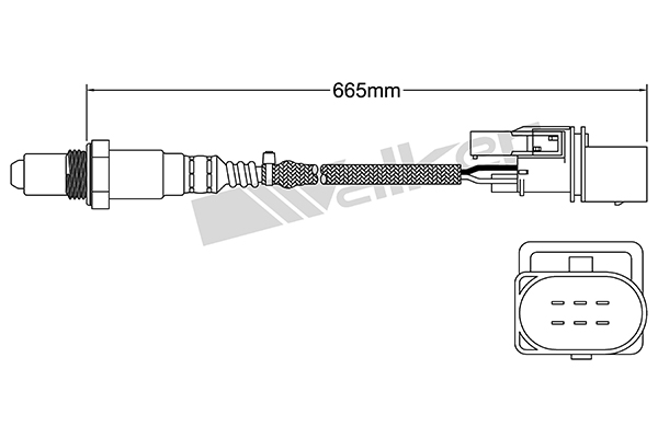 VEGAZ Lambdasonde uls413 for BMW