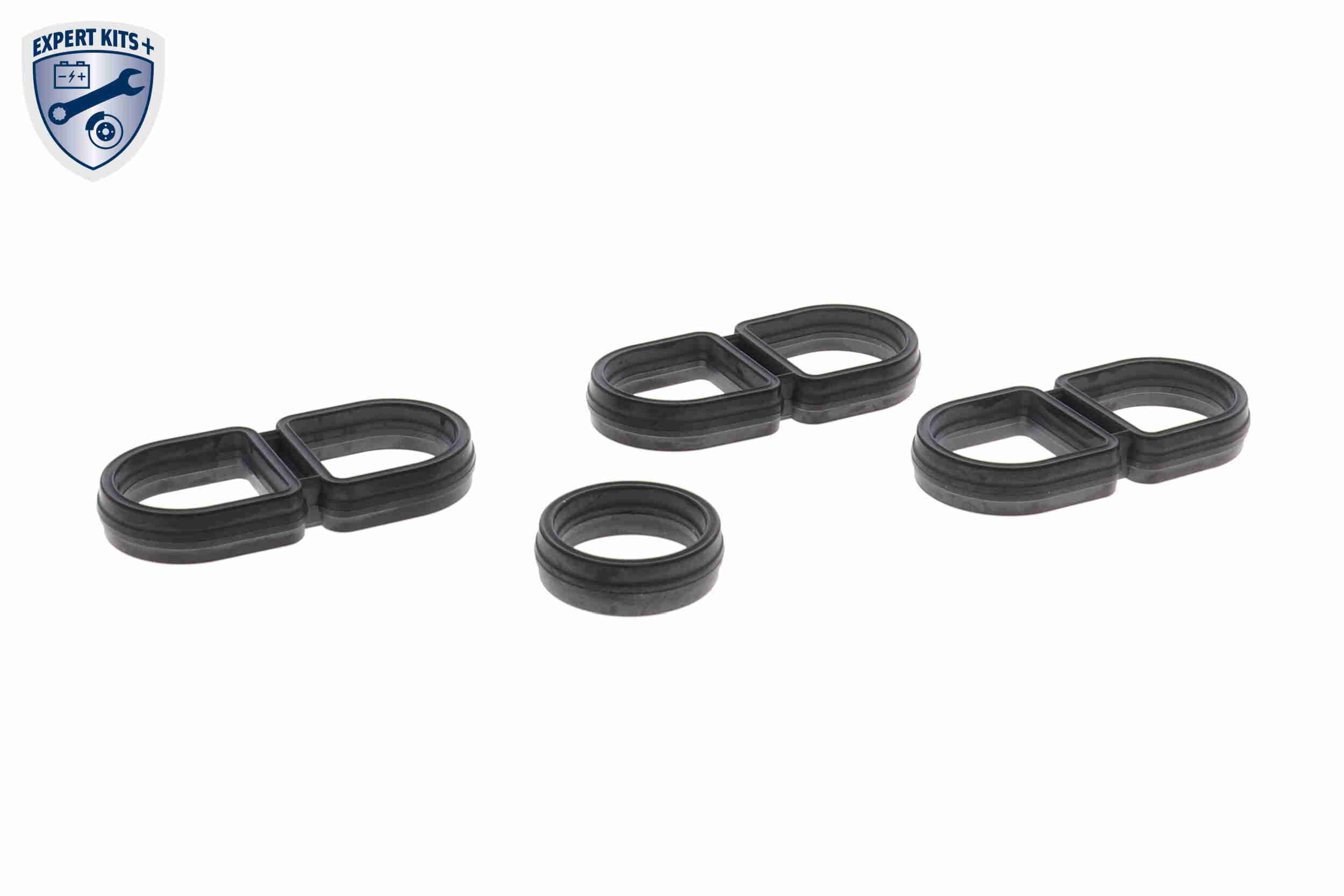 VEMO Oliekøler, motorolie v10600066 for AUDI VW