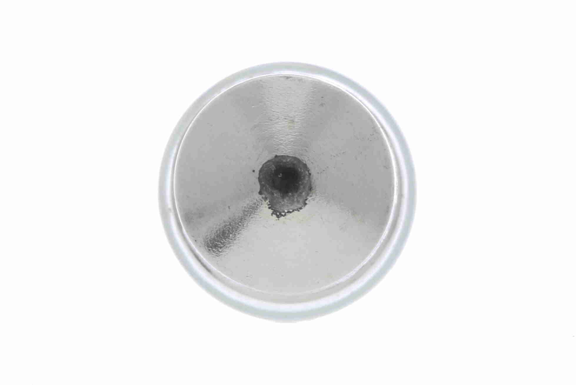 VEMO Pære, bagagerumslys v99840008 C5W for VOLVO PEUGEOT DAF FORD OPEL VAUXHALL MINI BMW MITSUBISHI PORSCHE AUDI RENAULT GENERAL MOTORS FORD USA HOBB
