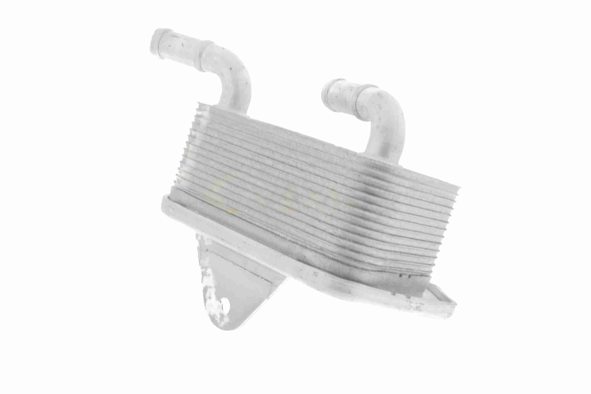 VEMO Oliekøler, motorolie v15606019 for VW SKODA VAG