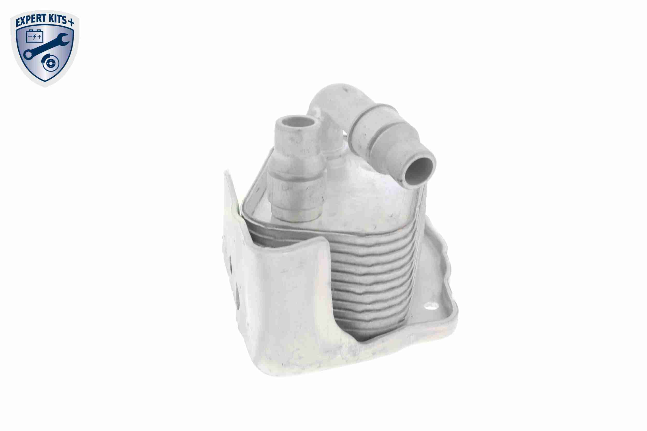 VEMO Oliekøler, motorolie v20600031 for BMW