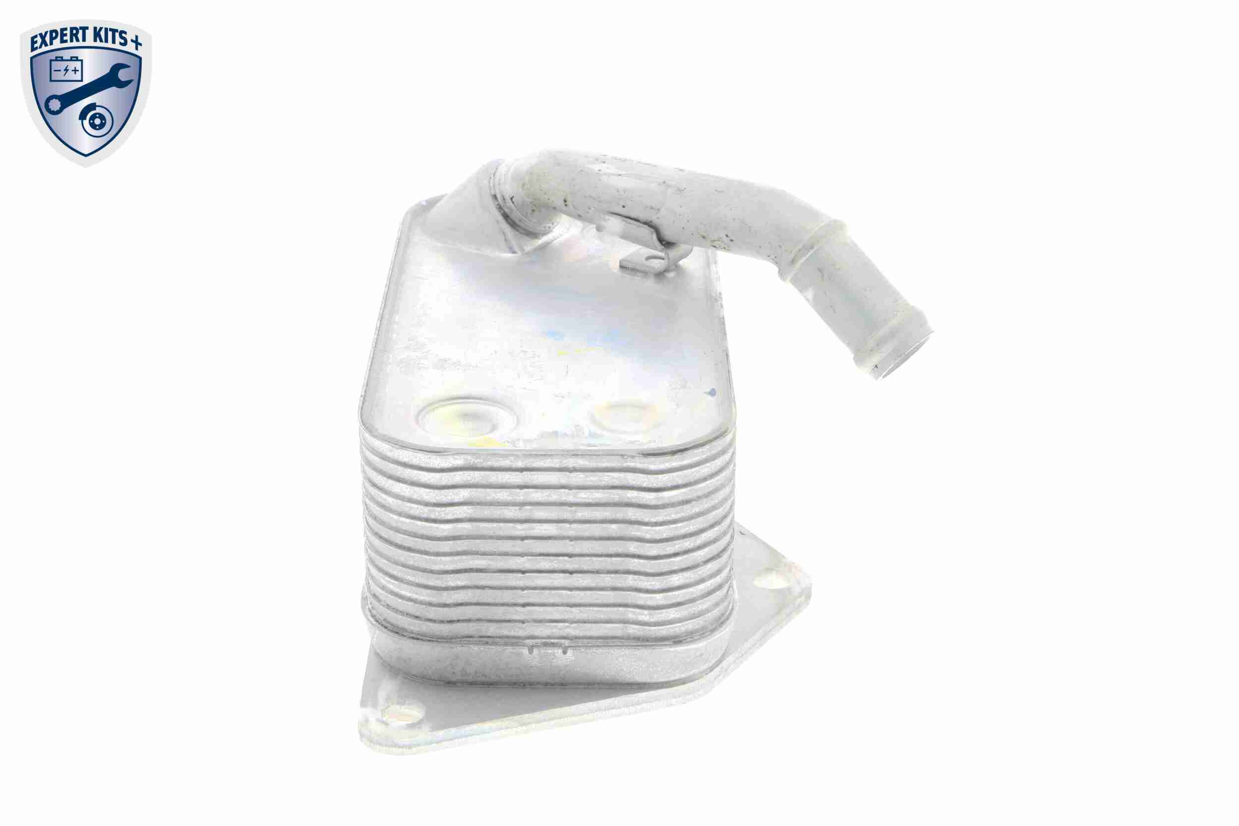 VEMO Oliekøler, motorolie v20600045 for BMW