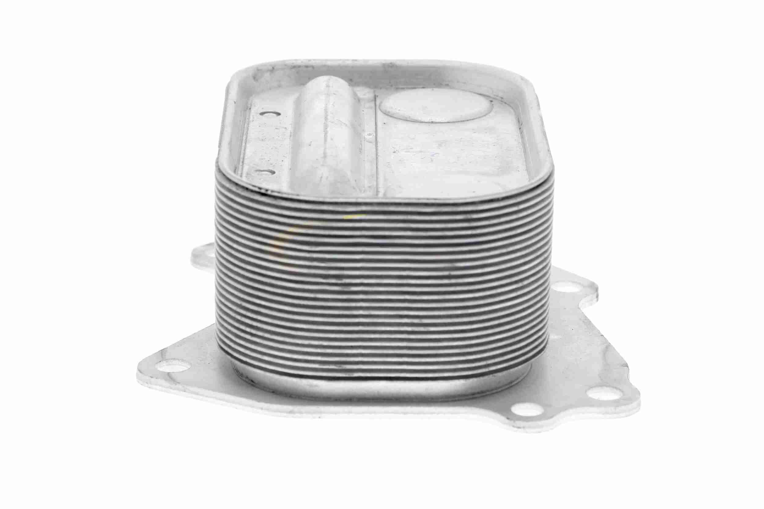 VEMO Oliekøler, motorolie v20600049 for BMW