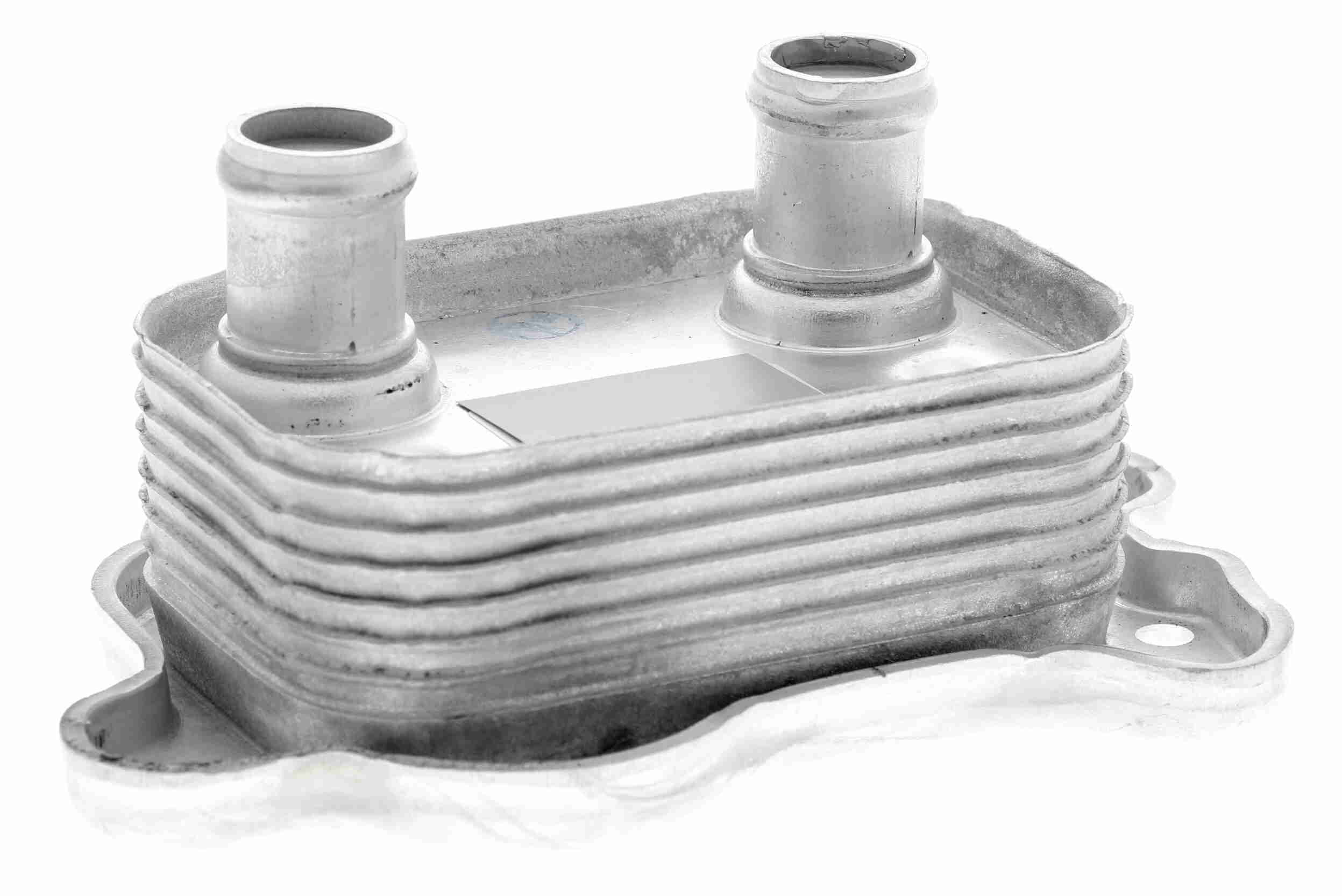 VEMO Oliekøler, motorolie v20600051 for BMW