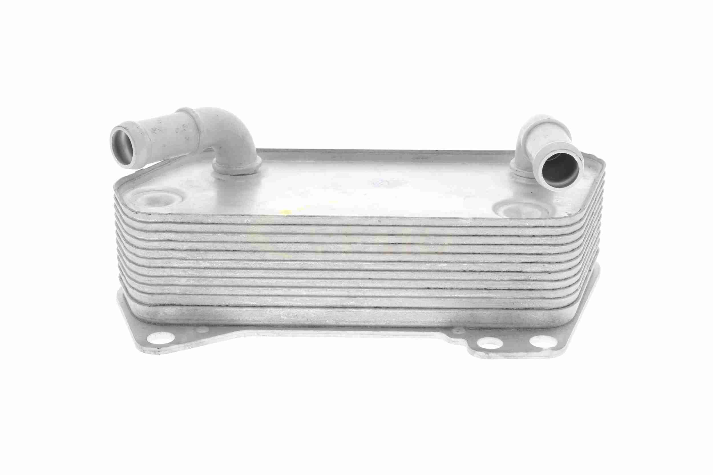 VEMO Oliekøler, motorolie v10600008 for CUPRA VAG VW