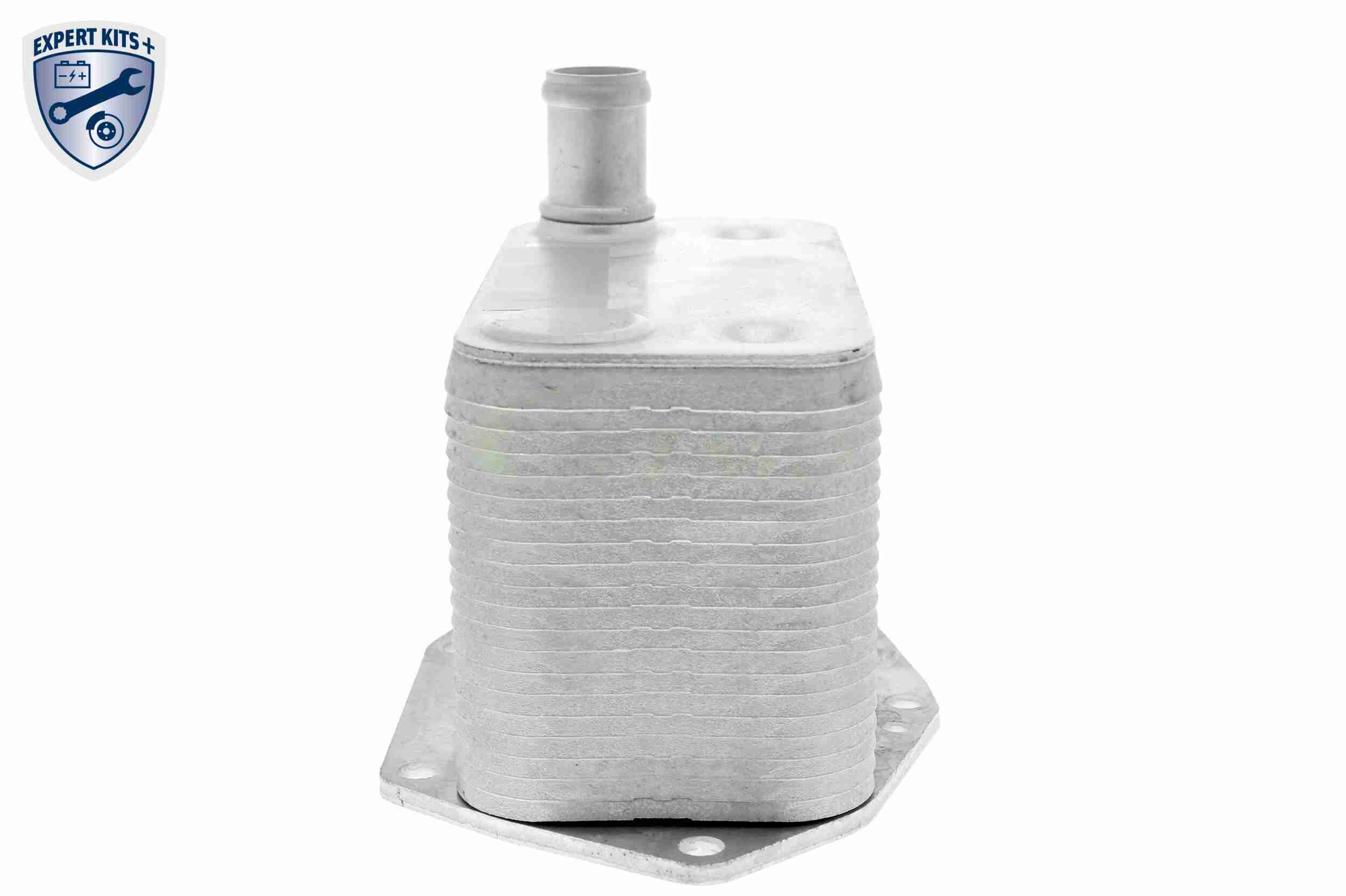 VEMO Oliekøler, motorolie v20600057 for BMW