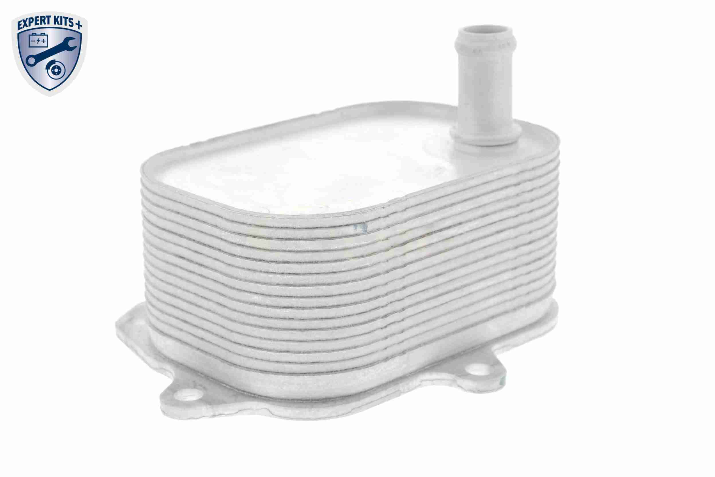 VEMO Oliekøler, motorolie v15606088 for VW VAG