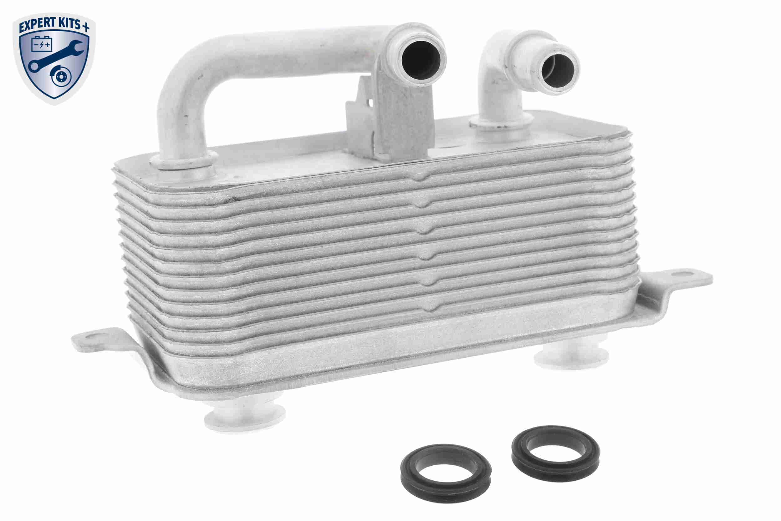 VEMO Oliekøler, motorolie v20600001 for BMW