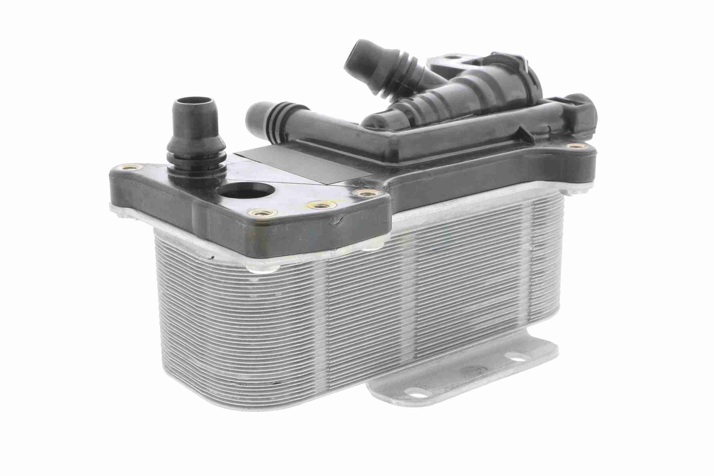 VEMO Oliekøler, motorolie v20600059 for BMW