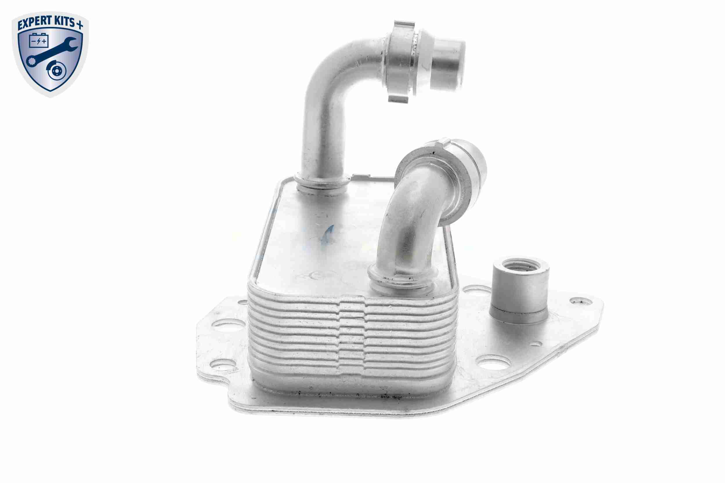 VEMO Oliekøler, motorolie v24600051 for FIAT VAUXHALL LANCIA