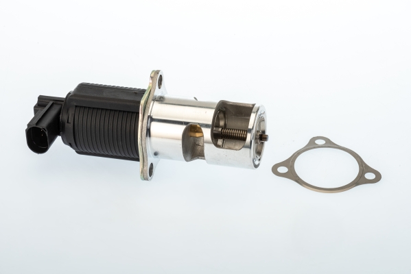 BORGWARNER EGR-ventil 710950d for VAUXHALL GENERAL MOTORS NISSAN DACIA RENAULT SUZUKI