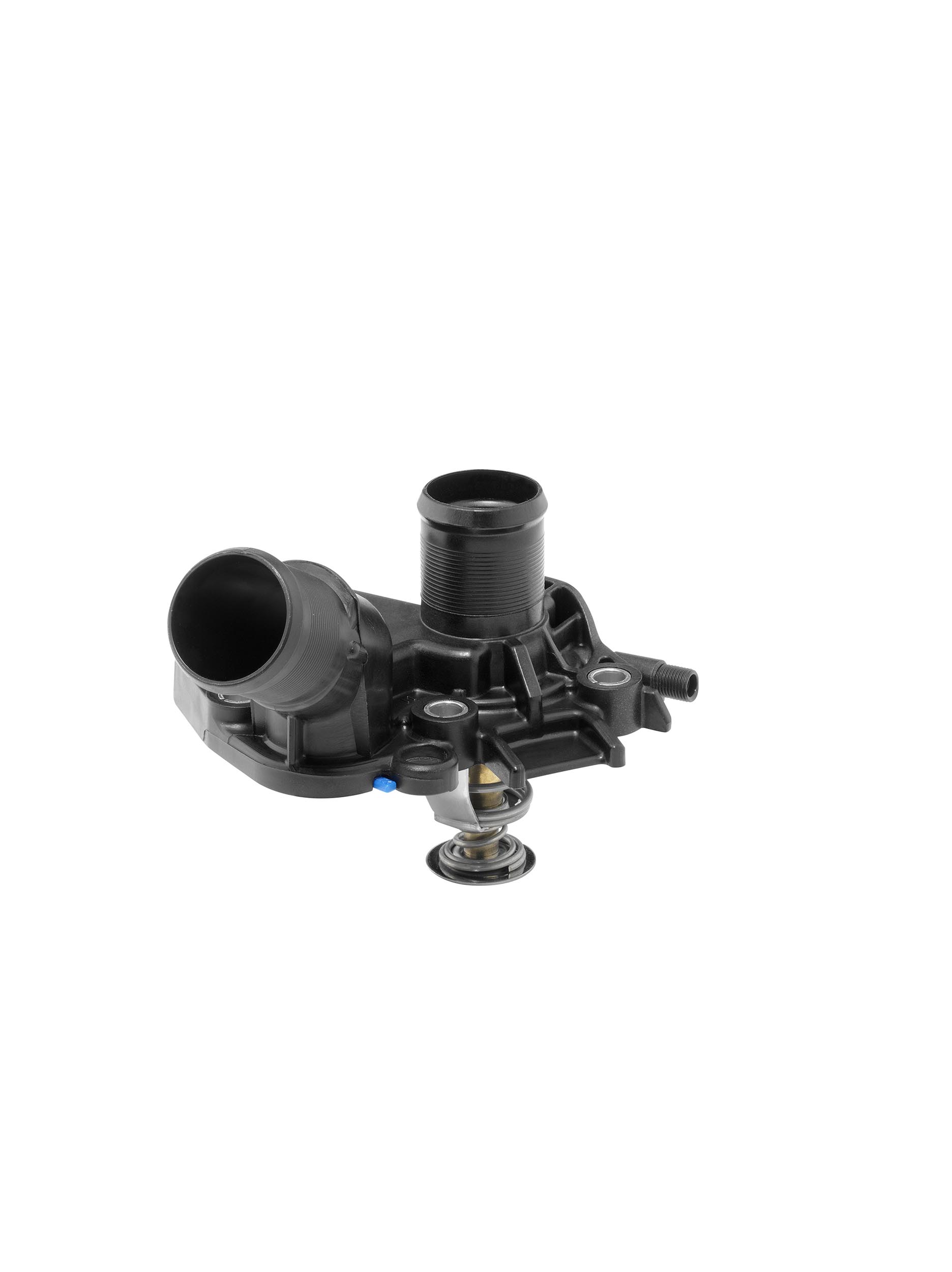 BORGWARNER Termostat, kølemiddel 411025.89D for PEUGEOT