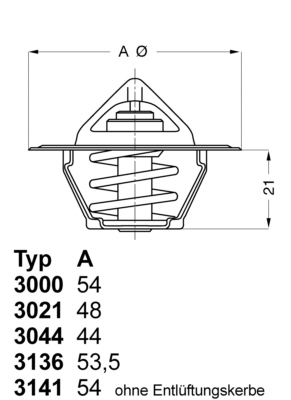 BORGWARNER Termostat, kølemiddel 314187d for SKODA VW