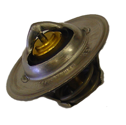 BORGWARNER Termostat, kølemiddel 316783d for VW