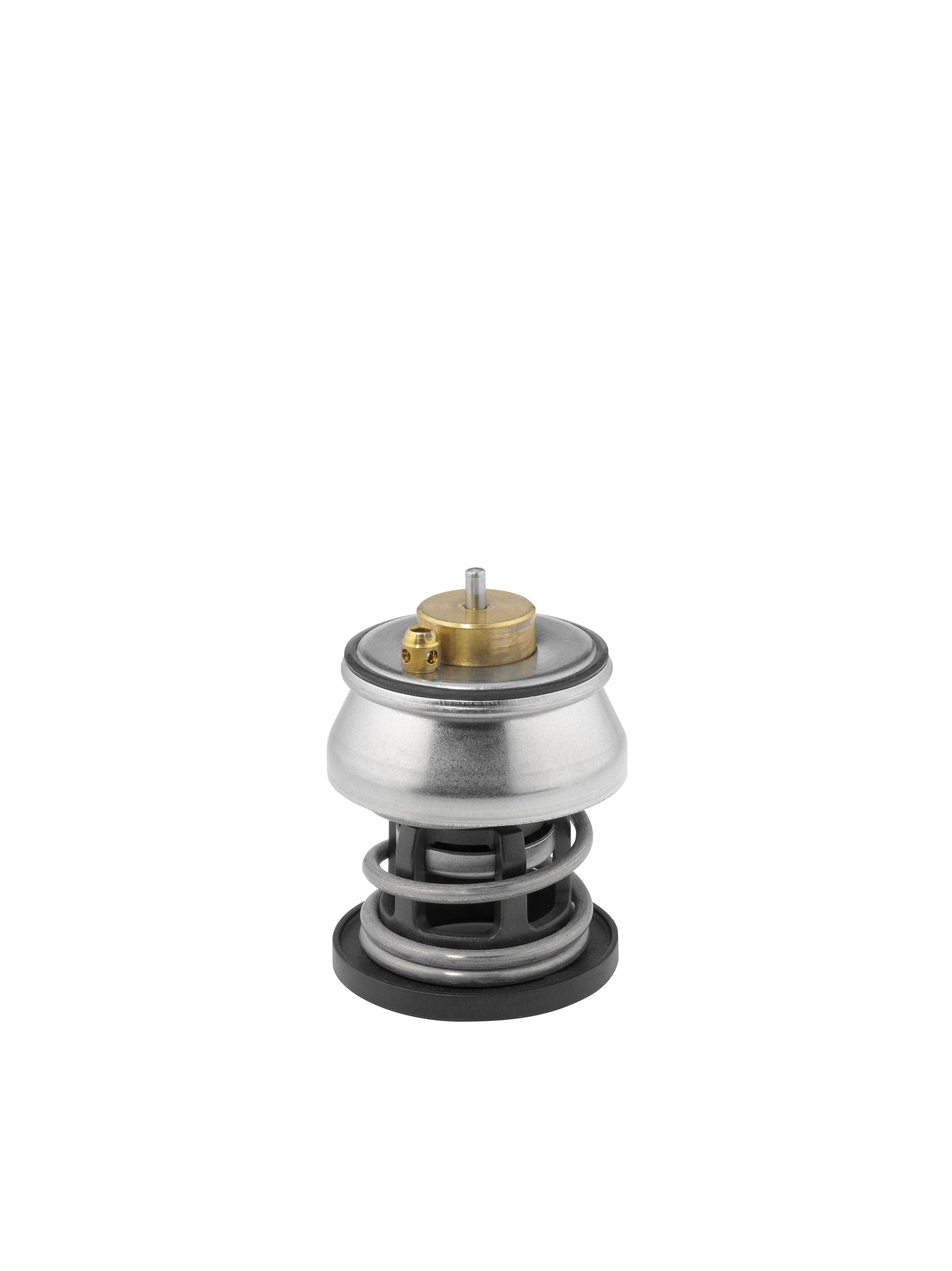 BORGWARNER Termostat, kølemiddel 412253.88D for BMW