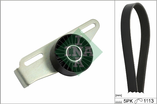 SCHAEFFLER INA Kileremssæt 529044110 for RENAULT DACIA