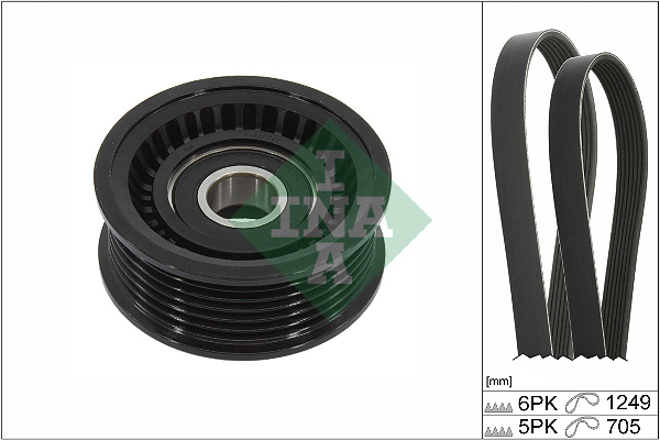 SCHAEFFLER INA Kileremssæt 529045110 for FORD VOLVO