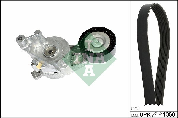 SCHAEFFLER INA Kileremssæt 529046810 for VW
