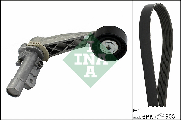 SCHAEFFLER INA Kileremssæt 529050410 for MINI BMW PEUGEOT DS (CAPSA) DS