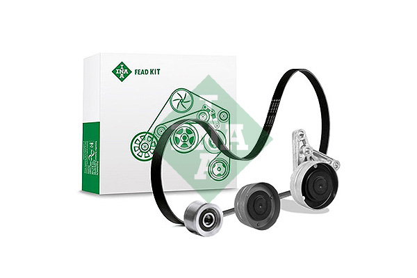 SCHAEFFLER INA 529408110