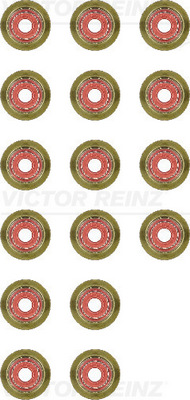 VICTOR REINZ Pakningssæt, ventilarm 123658701 for PEUGEOT FIAT FORD MAZDA VOLVO MINI