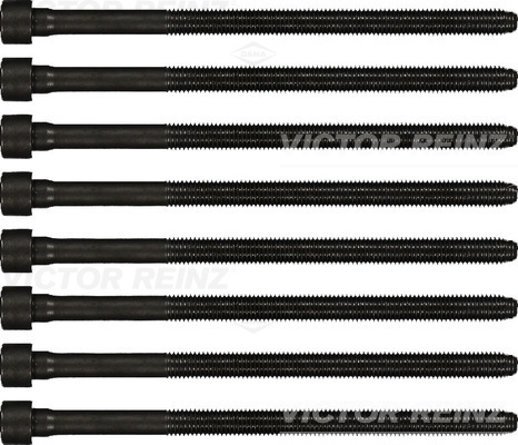 VICTOR REINZ topbolte-sæt 143219801 for VAG PORSCHE