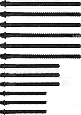 VICTOR REINZ topbolte-sæt 143231001 for BMW