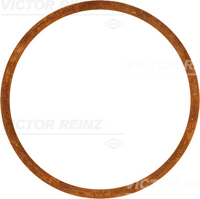 VICTOR REINZ Pakningsring 407038200