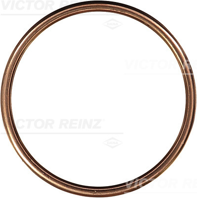 VICTOR REINZ Pakningsring 407210130