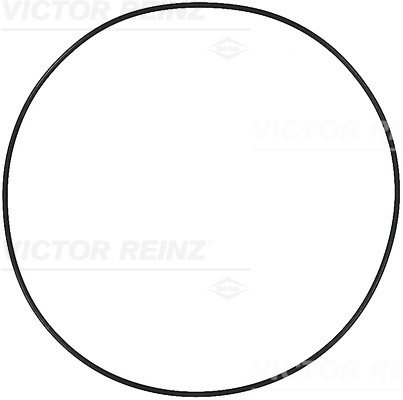 VICTOR REINZ Pakningsring 407355500 for MAN