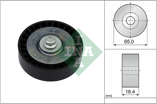 SCHAEFFLER INA Medløberhjul, multi-V-rem 532091310 for FORD FORD USA