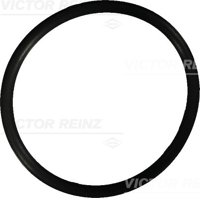 VICTOR REINZ Pakningsring 407602210 for MERCEDES-BENZ