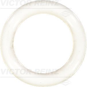 VICTOR REINZ Pakningsring 407603810