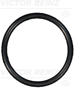 VICTOR REINZ Pakningsring 407606500 for MAN