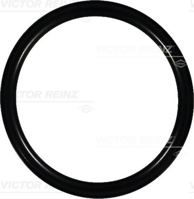 VICTOR REINZ Pakningsring 407608800 for MERCEDES-BENZ