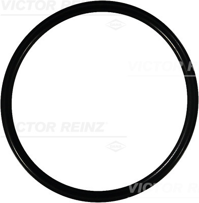VICTOR REINZ Pakningsring 407612500