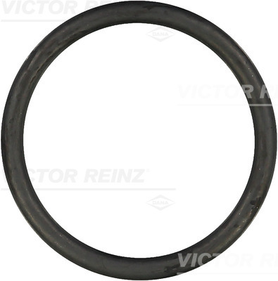 VICTOR REINZ Pakningsring 407612800