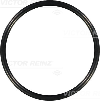 VICTOR REINZ Pakningsring 407613100 for MAN
