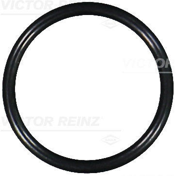 VICTOR REINZ Pakningsring 407628700 for FIAT