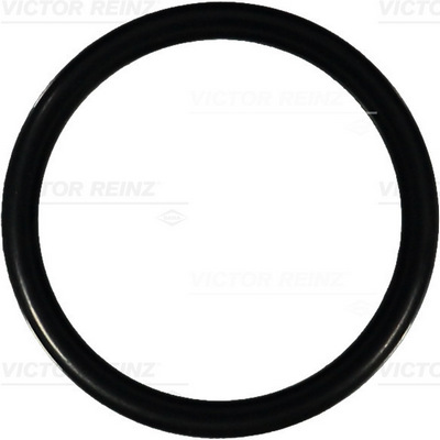 VICTOR REINZ Pakningsring 407629500 for ALFA ROMEO OPEL MERCEDES-BENZ
