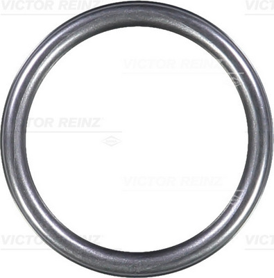VICTOR REINZ Pakningsring 407631310 for MERCEDES-BENZ