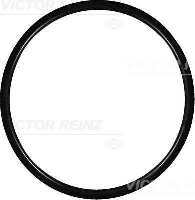 VICTOR REINZ Pakningsring 407638400 for MAN PORSCHE