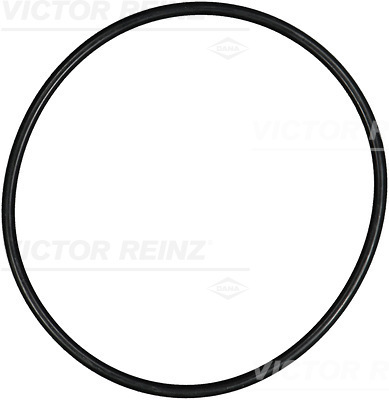 VICTOR REINZ Pakningsring 407638700 for MAN